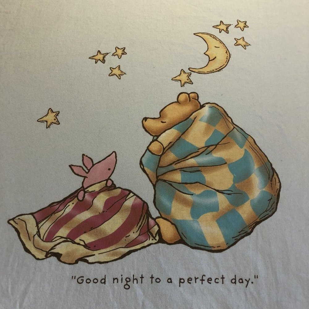 Vintage Walt Disney World Sleepwear Intimates One Size Winnie Pooh Perfect Day